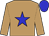 light brown, blue star, blue cap