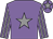 Mauve, grey star, striped sleeves and star on cap