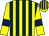 Yellow and dark blue stripes, yellow sleeves, dark blue armlets