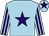 Light blue, purple star, striped sleeves and star on cap