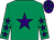 Emerald green, purple star, emerald green sleeves, purple stars, purple cap, emerald green stars