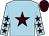 LIGHT BLUE, brown star, brown stars on sleeves, brown cap