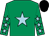 Emerald green, light blue star, emerald green sleeves, light blue stars, black cap