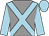 Grey, light blue cross belts, sleeves and cap