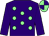 Purple, light green spots, purple sleeves, quartered cap