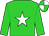 Lime green, white star, quartered cap