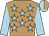 light brown, light blue stars, light blue sleeves, light blue and light brown halved cap