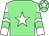 Light green body, white star, white arms, light green chevrons, light green cap, white star