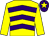 Yellow, purple chevrons, yellow sleeves, purple cap, yellow star