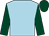 Light blue, dark green sleeves and cap