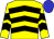 Yellow, Black chevrons, Blue cap