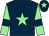 Dark blue, Light Green star, Light Green Sleeves, Dark Blue armlets, Dark Blue cap, Light green star