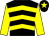 Black & yellow chevrons, yellow sleeves, yellow star on cap