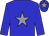 Big-blue body, grey star, big-blue arms, big-blue cap, grey star