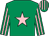 Emerald green, pink star, striped sleeves and cap