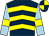 Dark blue, yellow chevrons, light blue sleeves, yellow armlets, dark blue and yellow quartered cap