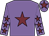 Mauve body, garnet star, mauve arms, garnet stars, mauve cap, garnet star