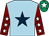 Light blue, dark blue star, maroon sleeves, white stars, emerald green cap, white star