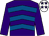 Purple & royal blue chevrons, purple sleeves, white cap, purple stars