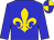 Blue, gold fleur de lys, blue sleeves, quartered cap