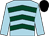 Light blue, dark green chevrons, light blue sleeves, black cap