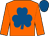 Bright orange, royal blue shamrock, bright orange sleeves , royal blue cap