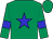 emerald green, blue star, blue armbands