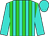 Turquoise, lime green stripes, turquoise sleeves and cap