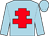 light blue, red cross of lorraine, light blue sleeves, light blue cap