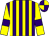 Purple and yellow stripes, yellow sleeves, purple armlets, purple and yellow quartered cap