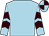 Light blue, brown chevrons on sleeves, quartered cap