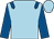 Light blue, royal blue epaulets and sleeves