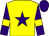 Yellow, purple star, purple sleeves, yellow armlets, purple cap