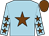 Light blue, chocolate star, chocolate stars on sleeves, chocolate cap