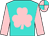 Turquoise, pink shamrock, pink sleeves, quartered cap