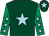 Dark green, light blue star, emerald green sleeves, light blue stars, dark green cap, light blue star