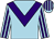 Light blue, purple chevron, striped sleeves and cap