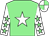 Light green, white star, white sleeves, light green stars, quartered cap