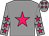 Grey body, rose star, grey arms, rose stars, grey cap, rose stars