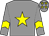 Grey body, yellow star, grey arms, yellow chevron, grey cap, yellow stars