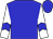 Blue body, white arms, blue chevron, blue cap