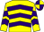 Yellow & purple chevrons, quartered cap