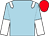 Light blue, white epaulets, halved sleeves, red cap