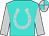 turquoise, silver horseshoe, silver sleeves, quartered cap