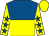 Royal blue and yellow halved horizontally, royal blue stars on yellow sleeves, yellow cap