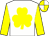 White, yellow shamrock and sleeves, yellow and white quartered cap