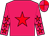 Rose body, red star, rose arms, red stars, rose cap, red quartered