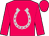 Cerise, silver horseshoe, cerise sleeves and cap