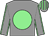 Grey, light green disc, light green seams on sleeves, striped cap