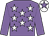 Mauve, white stars, mauve sleeves, white cap, mauve star